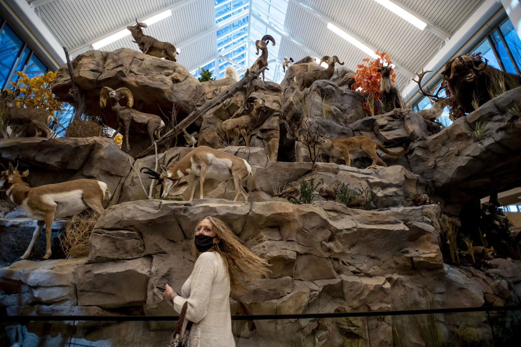 031921-news-scheels 02.jpg
